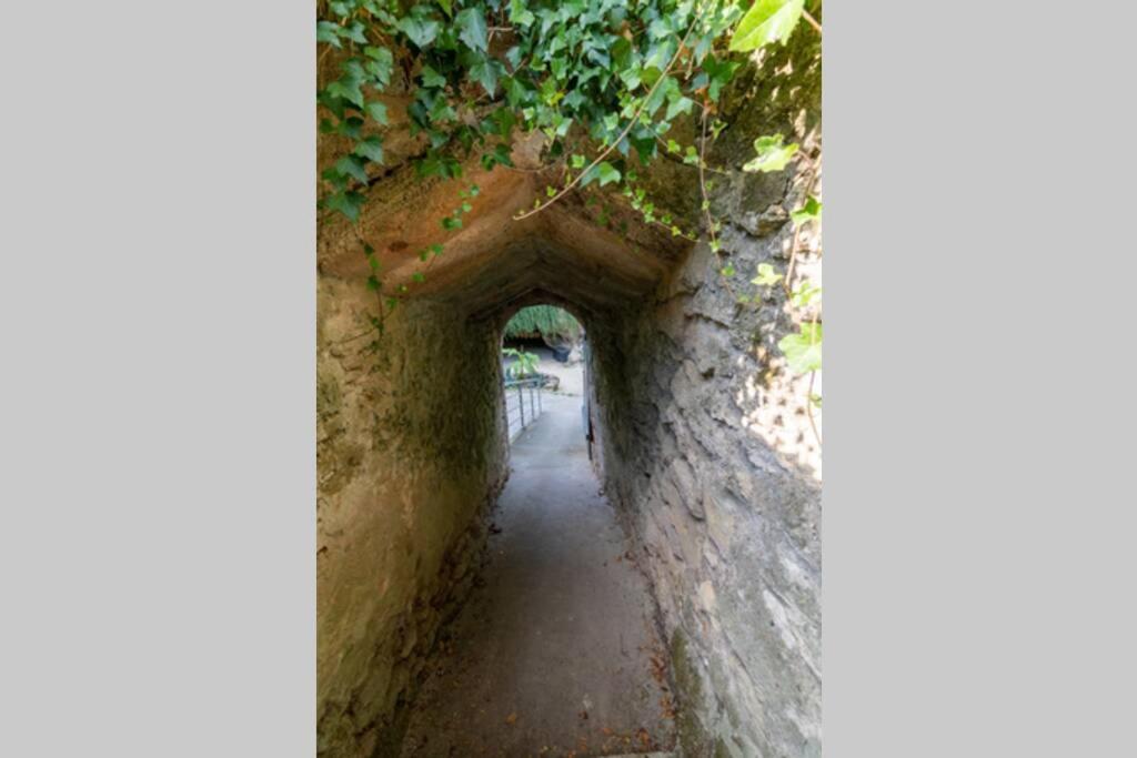 Maison Troglodytique Doue La Fontaine Zewnętrze zdjęcie